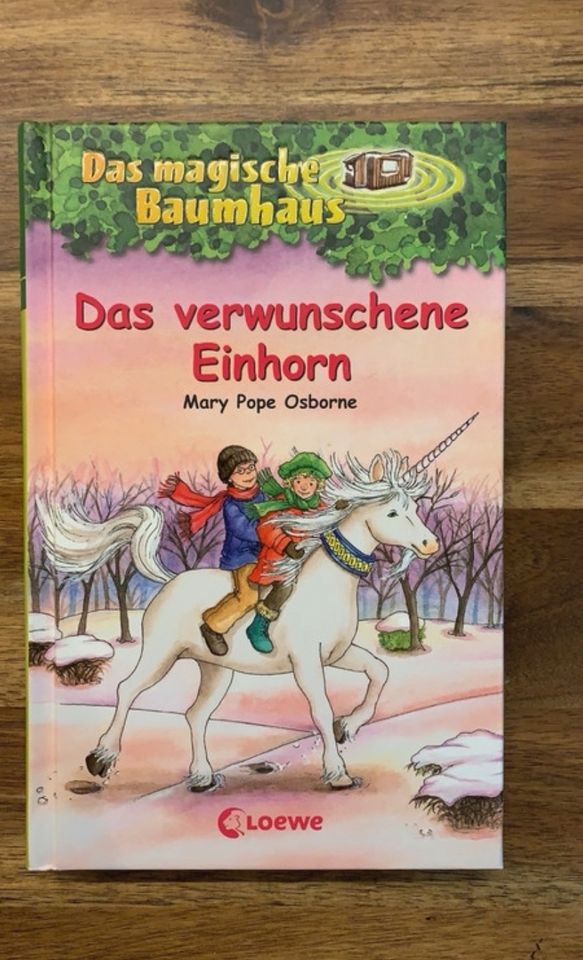 Konvolut 6 Bücher aus Das Magische Baumhaus in Illingen