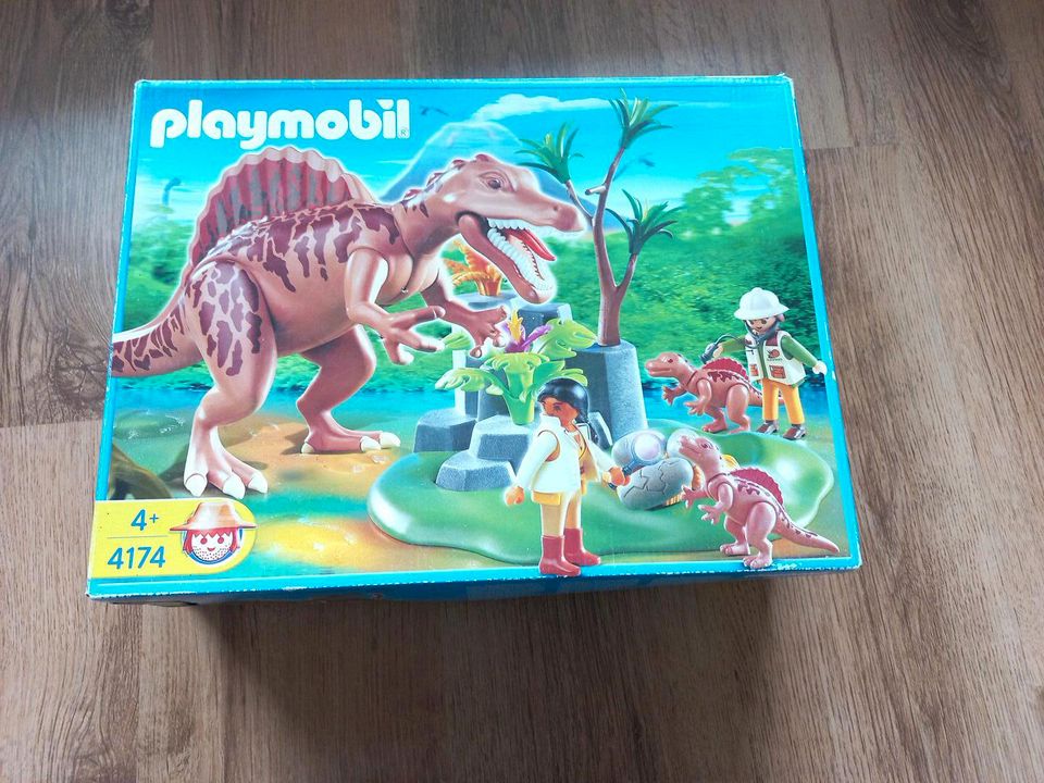 Playmobil Dinos in Liebenburg