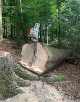 Forstarbeiter Rheinland-Pfalz - Pirmasens Vorschau