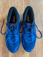 Asics Gel-Cumulus 19 Damen-Laufschuhe 43,5 Bonn - Ückesdorf Vorschau