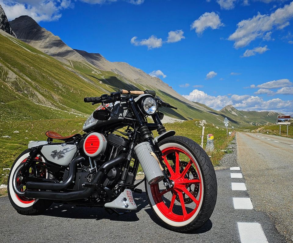 Harley-Davidson Iron 1200 Sportster Projekt Bike "Der rote Baron" in Meckenbeuren