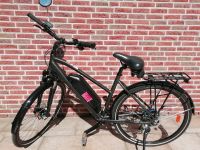 TREKKING E-BIKE "PROPHETE" 28" 36V Blaupunkt Mecklenburg-Vorpommern - Feldberg Vorschau