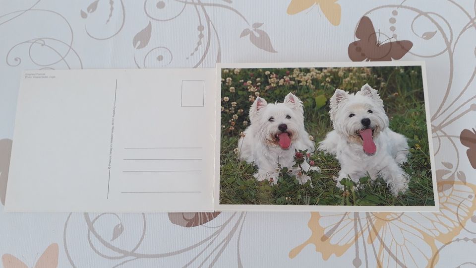 Postkartensets je 30 Karten “Hunde“ “Faszination Wasser“ in Metzingen