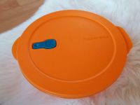 Tupperware MicroTub Menüteller NEU Niedersachsen - Steinkirchen Vorschau