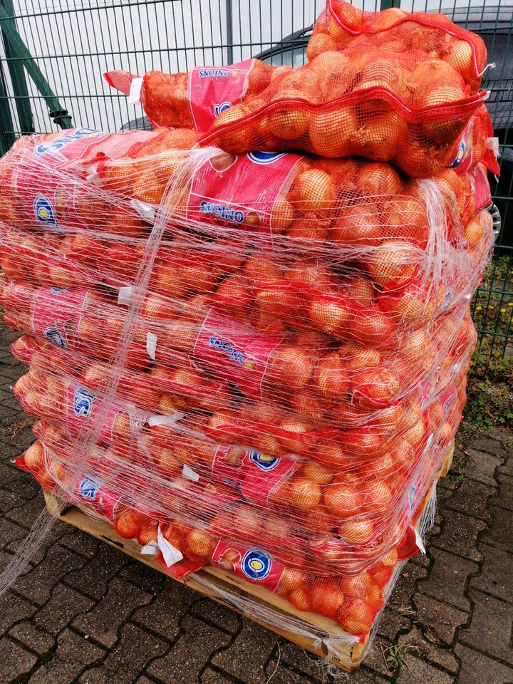 Holl. Metzgerzwiebel / Zwiebel  25 kilo!!!! Beutel in Oberhausen