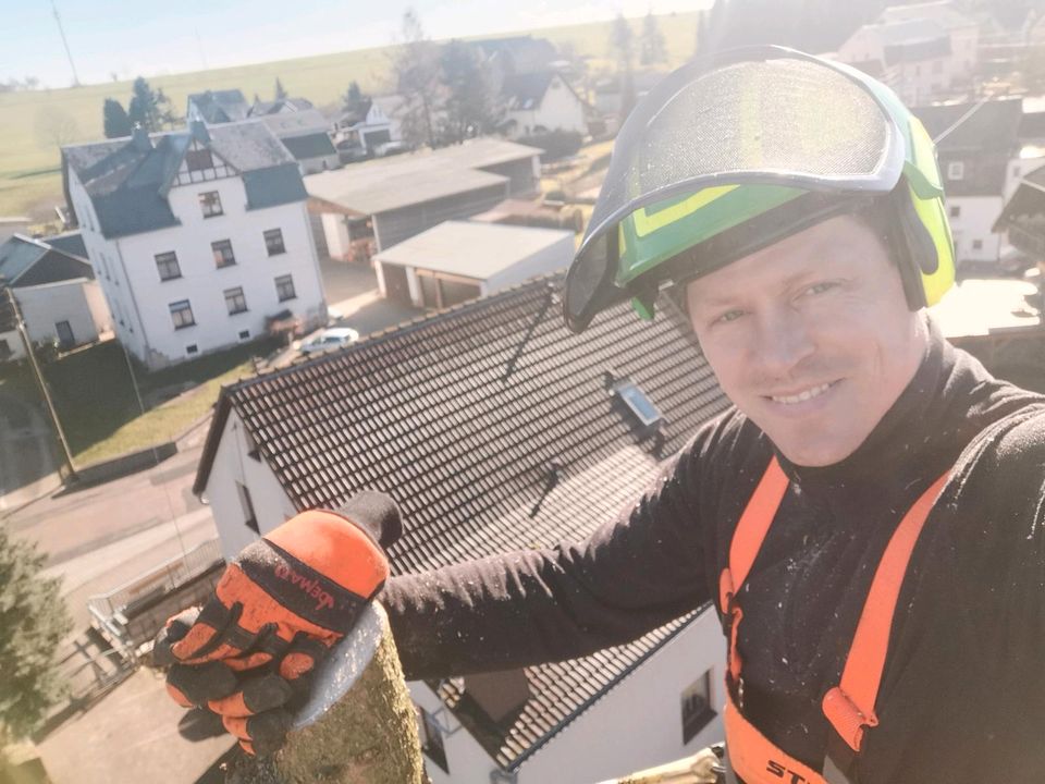 Baumfällung, Spezialbaumfällung in Mittweida