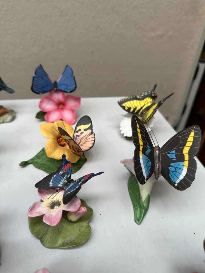Franklin Mint Porzellan Schmetterlinge Porzellanvögel der Welt in Frankfurt am Main