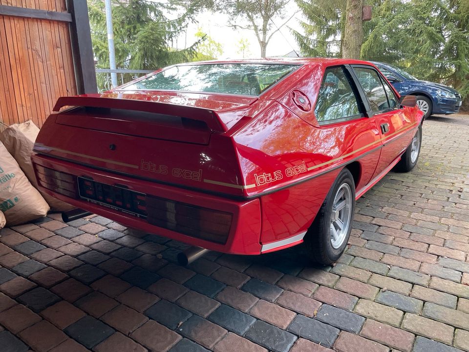 Lotus Excel in Thomasburg