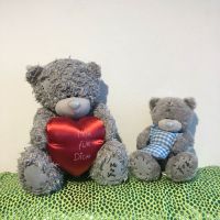 Zwei Teddybär Me To You Bären Teddybären Kuscheltier Plüsch Leipzig - Leipzig, Zentrum Vorschau