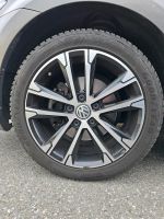 VW Singapore Felgen 17 Zoll - !!Nur Felgen!! Thüringen - Erfurt Vorschau