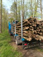 30 RM Buche Stammholz ganzer Lkw frei Hof Schleswig-Holstein - Reinfeld Vorschau