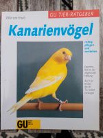 ❤ Kanarienvögel richtig pflegen und verstehen Otto von Frisch Sachsen - Pulsnitz Vorschau