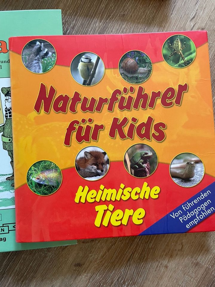 Tolles Bücherpaket in Senden