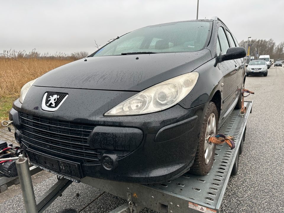 Peugeot 307 1.6 2005 Schwarz Schlachtfest Schlachter in Kaltenkirchen