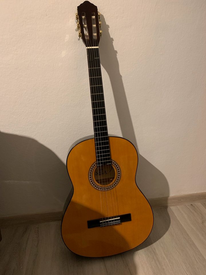Gitarre MSA C46 in Burgkirchen