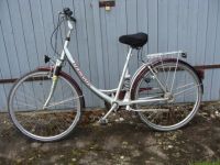 Pegasus Damen - Fahrrad ZEG-Exclusive-Modell 28 Zoll Bayern - Titting Vorschau