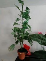 Kunstpflanze Blattpflanze groß Sachsen - Pirna Vorschau