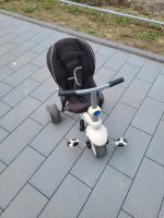 Smart Trike - Dreirad Essen - Frillendorf Vorschau