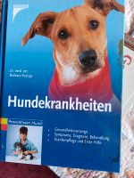 3 Bücher für Hunde und Katzenfreunde Hessen - Gudensberg Vorschau