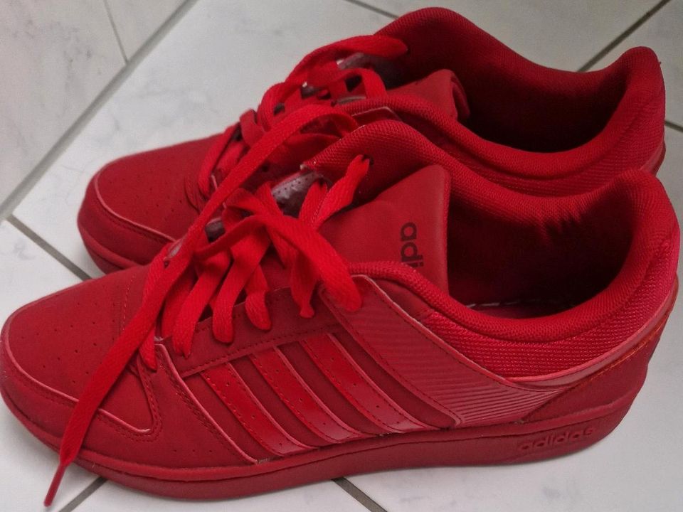 Knallrote adidas neo, Gr. 40 in Leipzig - Nordwest | eBay Kleinanzeigen ist  jetzt Kleinanzeigen