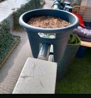 2 neue Balkon Töpfe mit neue Erde Feldmoching-Hasenbergl - Feldmoching Vorschau