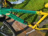 Fahrrad Sponsoren Rad 1993 Mecklenburg-Vorpommern - Wattmannshagen Vorschau