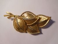 Goldbrosche Blätter mit Steinchen Vintage - kein Echtgold Rheinland-Pfalz - Walsdorf Eifel Vorschau