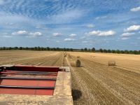 Stroh Rundballen Sachsen - Klipphausen Vorschau