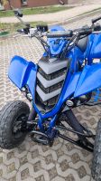 Yamaha raptor 660 Nordrhein-Westfalen - Lippetal Vorschau