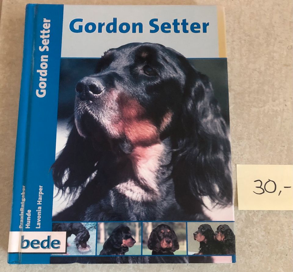 Gordon Setter - bede Hundebuch in Herrischried
