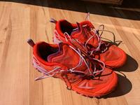 La Sportiva Bushido III GTX Damen Größe  41.5 Kiel - Suchsdorf Vorschau