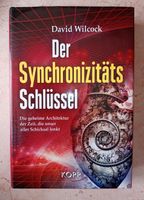 Buch Sammlerstück Der Synchronizitätsschlüssel Bayern - Landsberg (Lech) Vorschau