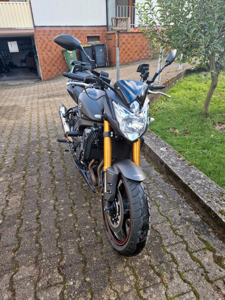 Yamaha FZ8 Naked Bike in Ispringen