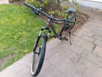 Hardtail Centurion Backfire Fit Pro 800 Baden-Württemberg - Bad Waldsee Vorschau