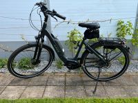 LPM E-Bike, sehr gut gepflegt, Elektro Fahrrad Niedersachsen - Vrees Vorschau