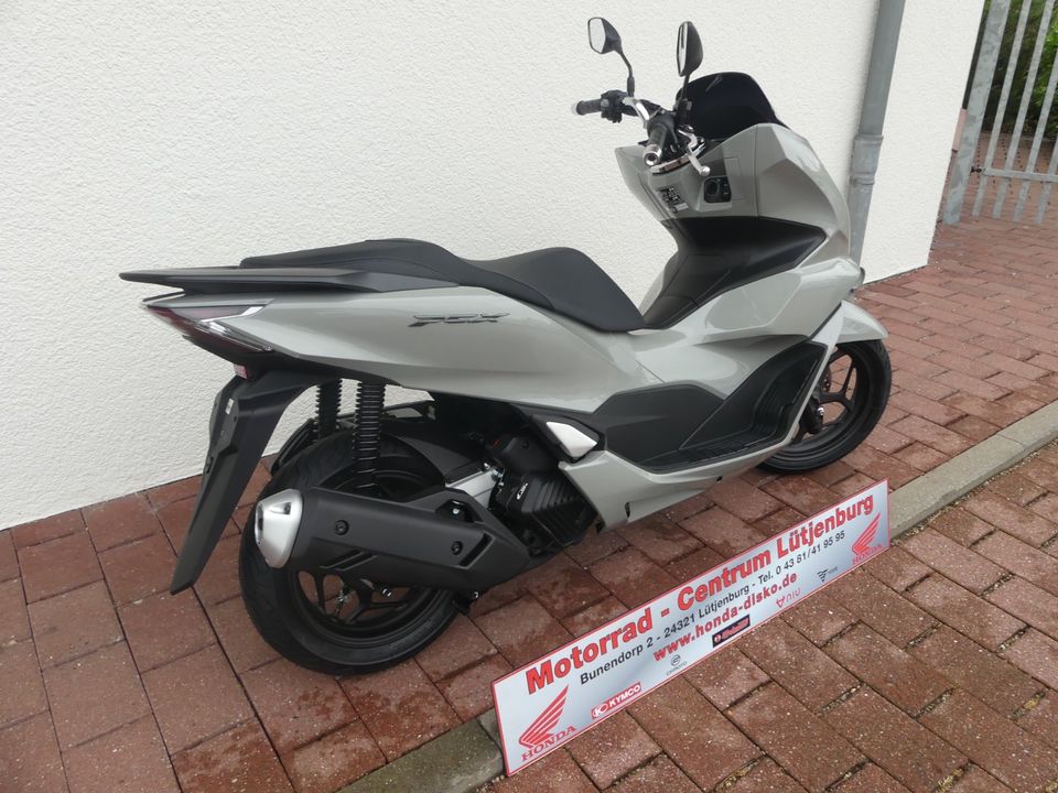 HONDA PCX125A  WW125A in Lütjenburg