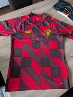 Manchester City Trikot gr.M rot Puma Herren Brandenburg - Forst (Lausitz) Vorschau