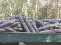 Brennholz Esche zu verkaufen Bayern - Forheim Vorschau