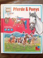 WAS IST WAS  Junior  Pferde & Ponys München - Pasing-Obermenzing Vorschau