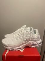 Nike Air Max Plus TN Frankfurt am Main - Eschersheim Vorschau