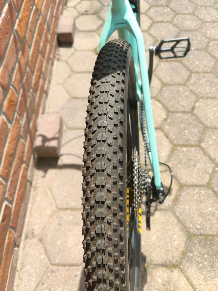 Orbea Alma Hardtail M 50,  29" Rahmen Größe M in Meinersen