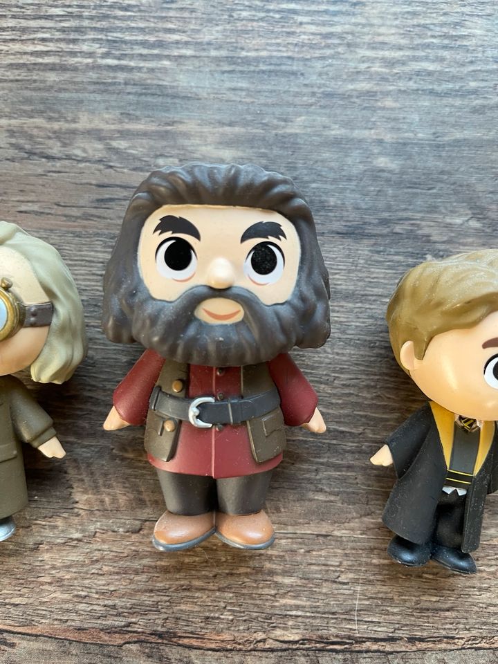 Funko Pop Harry Potter Minis Mystery in Dortmund