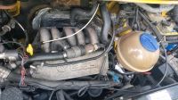 VW T4 Benzin AAF MOTOR 110 PS MIT GASANLAGE Niedersachsen - Estorf Vorschau