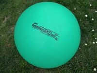 * GYMNASTIK-BALL * ORIGINAL * "pezzi" * max. 65 cm * Rheinland-Pfalz - Hochstetten-Dhaun Vorschau