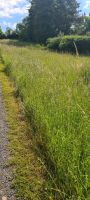 Wiese zum Gras oder Heu ernten Bayern - Maroldsweisach Vorschau