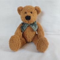 Teddybär Sun Kid braun Vintage Mecklenburg-Strelitz - Landkreis - Burg Stargard Vorschau