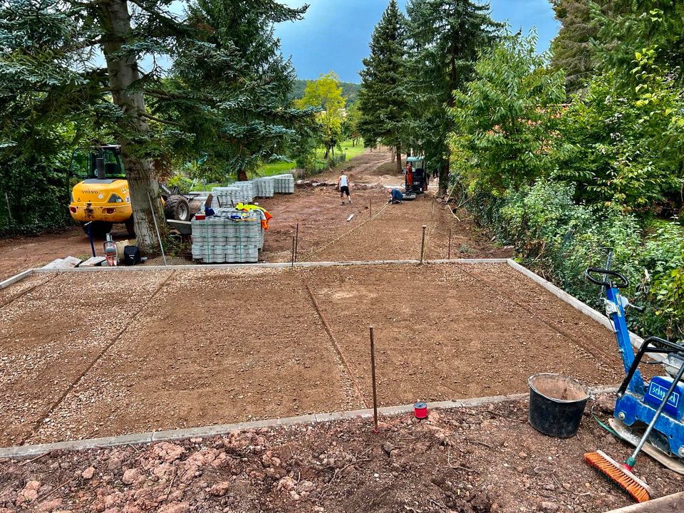 Gartenpflege/Gartenarbeiten/Rasenmähen/Heckenschneiden in Wolfsburg