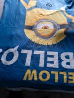 Minion Decke fleece Rheinland-Pfalz - Burgbrohl Vorschau