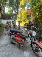 Suche Zündapp Hercules Kreidler DKW NSU Sachs Puch Mofa Moped Nordrhein-Westfalen - Iserlohn Vorschau