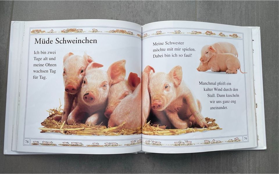 Kinderbuch Noch mehr Tierkinder mit vielen Fotos in Swisttal